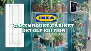 Also, they allow you to prolong the life of your flowers too. Ikea Greenhouse Glass Cabinet For Indoor Plants Detolf Edition Youtube
