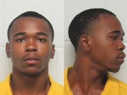 Sheriff: Cocaine, guns, pain pills seized in Hardeeville