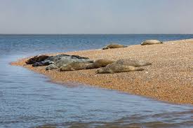 A natural local wonder and a family tradition