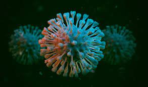 Check spelling or type a new query. æœ¬æ¸¯é€£çºŒç¬¬äºŒå¤©é›¶ç¢ºè¨ºåˆæ­¥ç¢ºè¨ºå°'æ–¼5å®— Rthk