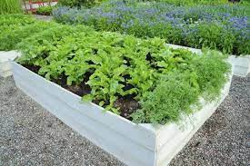 Raised garden beds come in a wide range of sizes and shapes. 15 Inexpensive Raised Garden Bed Ideas Diy Raised Bed Garden Designs