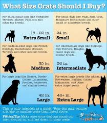 Crate Size For Your Dog Dog Crate Sizes Dog Crate Dog