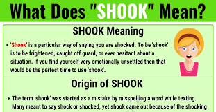 Set of wood and metal pieces for constructing a. Shook Meaning What Does Shook Mean With Useful Examples 7esl