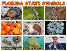 Conservation efforts to preserve the florida manatee appear to be working well. Florida State Symbols Florida