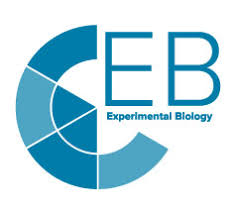 China and india advance by three months: Aspet Aspet Annual Meeting At Eb 2021