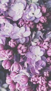 Flowers Purple And Wallpaper Image Flower Wallpaper Purple Wallpaper Iphone Wallpaper
