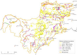 Image result for Ptycholobium plicatum