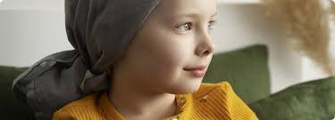 LES JOURNAUX DU RIFHOP