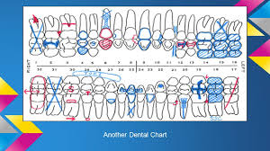 Charting Conditions Of The Teeth I Dental Charts Each