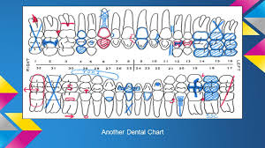 charting conditions of the teeth i dental charts each