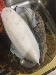 Cara memasang umpan sotong/cumi 1. Cara Bersihkan Sotong Katak Papa Blogger