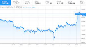 View value statistics, market cap and supply. Der Bitcoin Cash Preis Liegt Bei 228 Usd Bei Bullen Was Ist Zu Erwarten