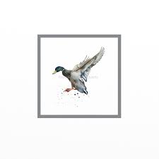 Over 1,256 mallard duck pictures to choose from, with no signup needed. Pin On Ducks