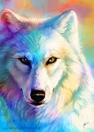 Wolf drawing wallpapers | hdqwalls.com. White Wolf Art Wolf Painting Beautiful Wolves Anime Wolf