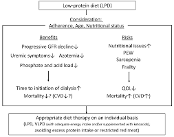 One meal plan for diabetes, another for chronic kidney disease (ckd). The Benefits Of A Low Protein Diet Lpd In Chronic Kidney Disease Download Scientific Diagram