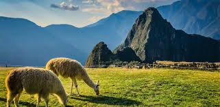 Machu picchu (in quechua machu pikchu means old mountain) is an enigmatic city of the incas built in the middle of the 15th century. Machu Picchu Tour Packages Prices Itinerary And Travel Tips
