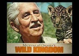 Magic Mountain's Petting Zoo and Major the Lion in 1974