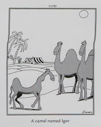 This poor copy of a gary larson cartoon is a good reflection of the separate ways in which messages get missed in northern ireland. The Far Side Official Online Website Boards Ie