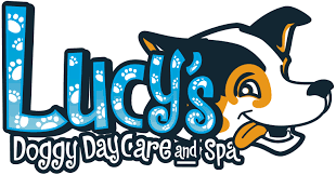 Dogs are admitted for daycare only after a thorough behavior assessment. Boarding Facility For Dogs Lucy S Doggy Daycare And Spa In San Antonio