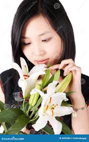 6,271 Nice Lily Stock Photos
