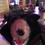 Thirsty Thursdays: Books on Tap