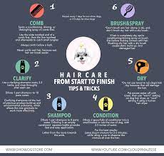 Hair care of the dog. Coat Care From Start To Finish By Cloud9maltese Show Dog Store
