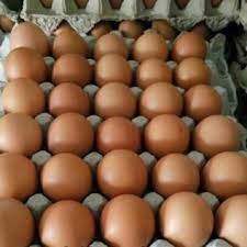 Putih telur nama lain dari putih telur adalah albumen telur. Jual Telur Ayam Ras Horn Berkualitas Murah Tidak Murahan Pasar Lelang