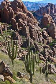Superstition mountain, located east of phoenix, is famous for the lost dutchman's mine where millions of dollars' worth of gold is allegedly hidden, but has never the farmers thought the pimas were superstitious about the mountain hence another reason for the name superstition mountain. 150 Best Superstition Mountains Ideas In 2021 Superstition Mountains Superstition Arizona