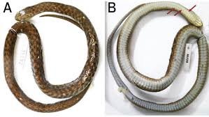 Nohemyoro sex tapes one of the most several reasons I like