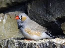 Heather kolich parenting doesn't come with a handbook. Zootierlistehomepage