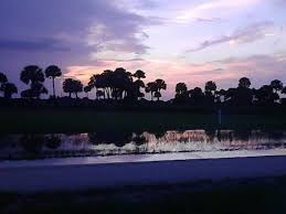 We had a huge camp area with h2o, 30 amp power, picnic table and fire pit. Kissimmee Prairie Preserve State Park The Dyrt