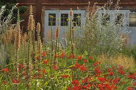 Kiesgarten Gravel Garden Kiesgarten Garten Garten Pur