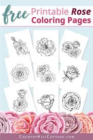 For boys and girls, kids and adults, teenagers … Free Printable Rose Coloring Pages 10 Realistic Designs For Adults