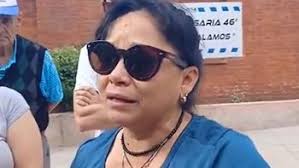 Una gata caminó más de 30 kilómetros sola para volver a su casa