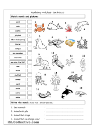 Vocabulary Matching Worksheet Sea Animals Animal Worksheets Vocabulary Worksheets Matching Worksheets