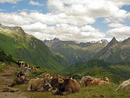 Alle wandertouren im montafon auf einen blick. Urlaub In Der Natur Maisass Montiel Pension Maria Hilf Maria Hilf