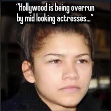 Stefano (@stefanbear8)