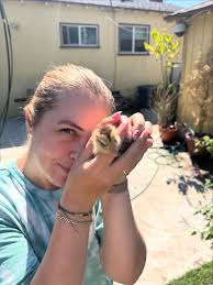 Cal Henry (@mrcalhenry) • Instagram photos and videos