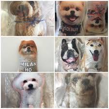 Every pet photo pillow is designed using quality materials. Diy Customized Personalize Pet Animal Cushion Pillow Pet Supplies Homes Other Pet Accessories On Carousell