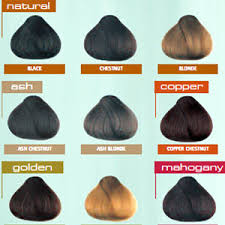 International Colour Charts For Hairdressing Hair And