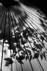 Black And White Photography Prints For Sale Artemis Dreaming Shadow Photography Japanese Photography White Photography
