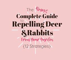It is also good for some plants. The Almost Complete Guide To Repelling Rabbits And Deer From Your Garden Experiential Grace