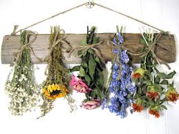 105 likes · 1 talking about this. Dried Bouquets On A Rustic Board Hanger Flower Display Dried Flower Arrangements Dried Flowers Diy