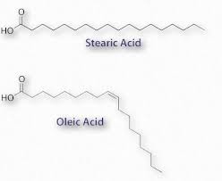 2 8 Structure And Function Lipids And Membranes Biology