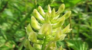 Maybe you would like to learn more about one of these? Colakraut Praxislexikon De