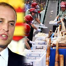 Prince William urges Chinese to stop buying illegally traded wildlife  products, hours before Xi's visit