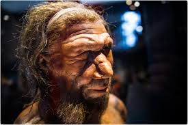 Neanderthal or neandertal is a relatively recent extinct member of the homo genus that inhabited europe and parts of western asia in the middle to late pleistocene, first appearing in the fossil record some 200,000 to 400,000 years ago and disappearing about 30,000 years ago. Neanderthal Gene Can Confer Protection Against Severe Covid 19 Finds Study