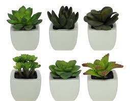 images?q=tbn:ANd9GcSxOu37M6pJYexdWW0StAr