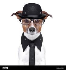 Joke bowler hat hi-res stock photography and images