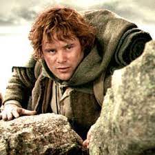 We did not find results for: Samwise Gamgee From The Lord Of The Rings Charactour